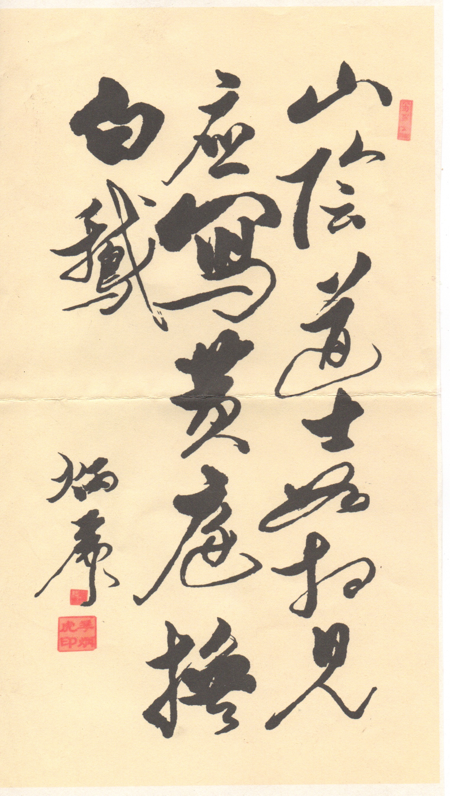鷨